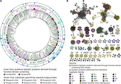 Metagenomic Screening for Lipolytic Genes Reveals an Ecology-Clustered Distribution Pattern